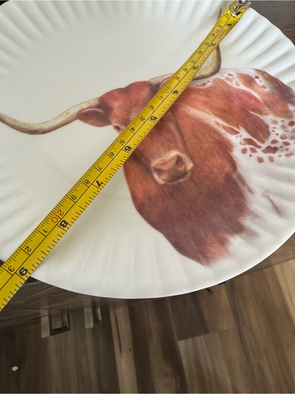 Longhorn Steer Graphic Reusable Paper Plate Plates Set - Picture 2 of 3